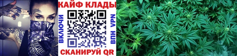 МЕФ Новокузнецк