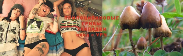 a pvp Беломорск