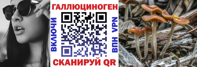 Галлюциногенные грибы MAGIC MUSHROOMS  Купить  Новокузнецк 